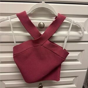 Aritzia Babaton Rose Knit Top